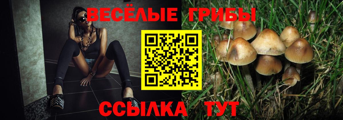 наркота  Вход с VPN  Алексин  Галлюциногенные грибы ЛСД 